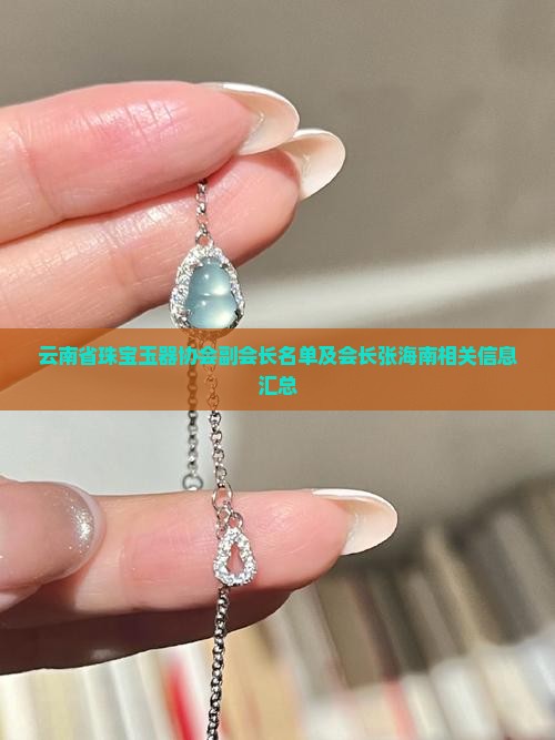云南省珠宝玉器协会副会长