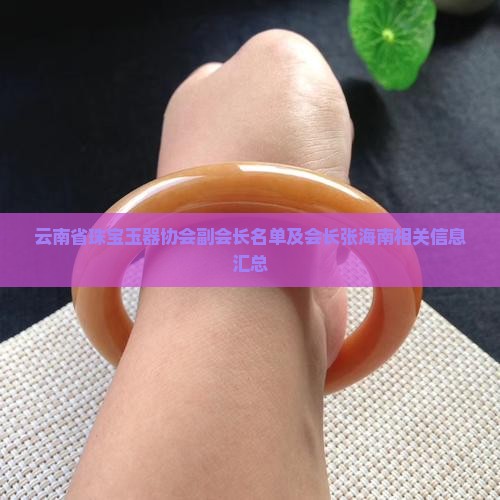 云南省珠宝玉器协会副会长