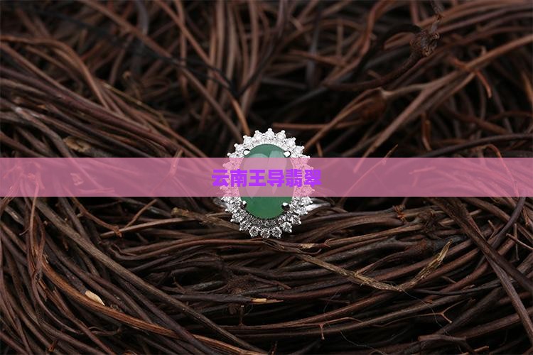 云南王导翡翠