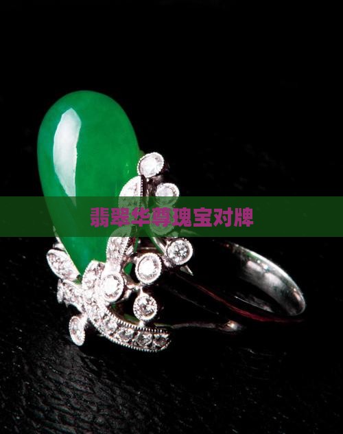 华尊瑰宝翡翠对牌