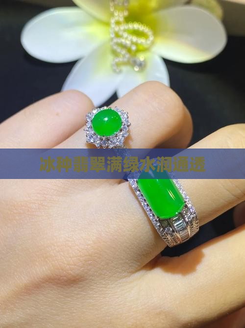 冰种满绿水润通透