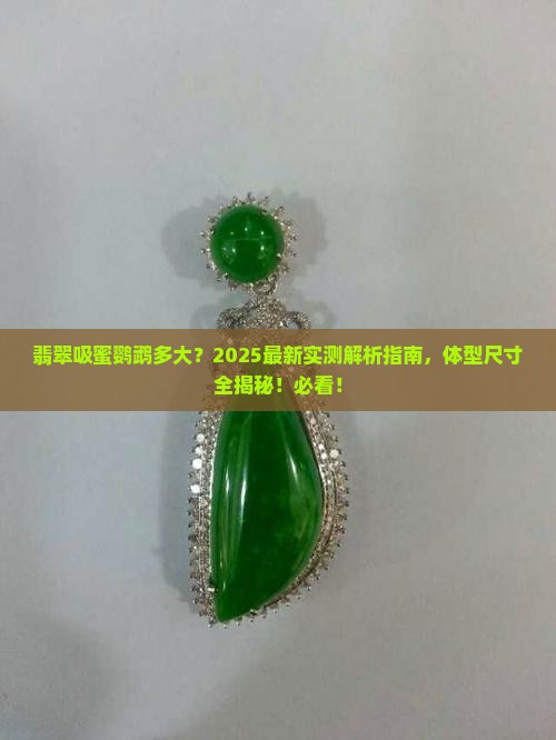 翡翠吸蜜鹦鹉多大