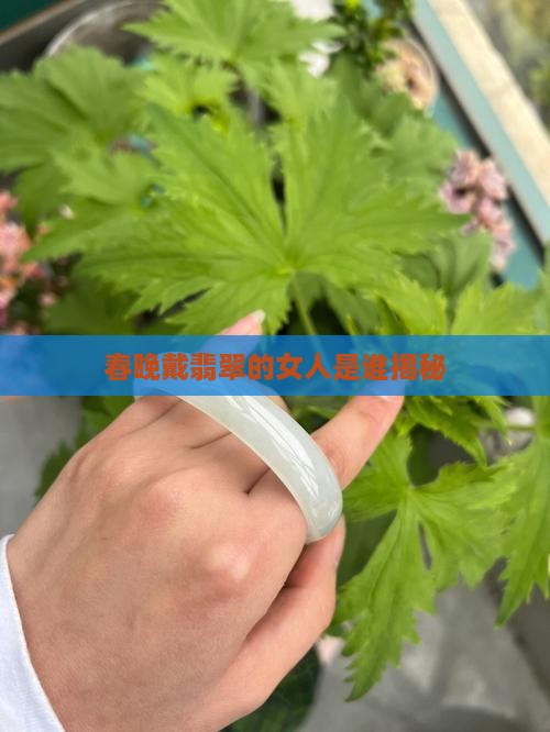 春晚戴翡翠的女人是谁