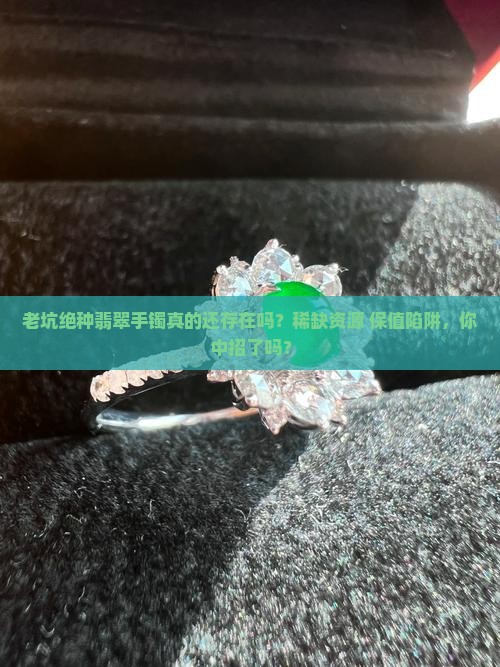 老坑绝种翡翠手镯