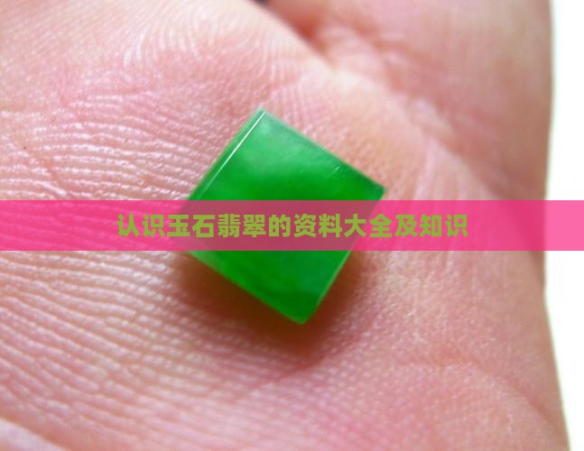认识玉石翡翠的资料