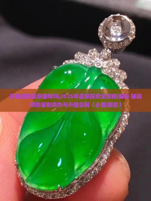 苍蝇翅的翡翠值钱吗