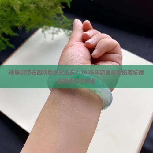 被导游带到西双版纳买玉石