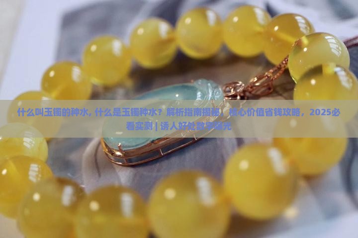 什么叫玉镯的种水