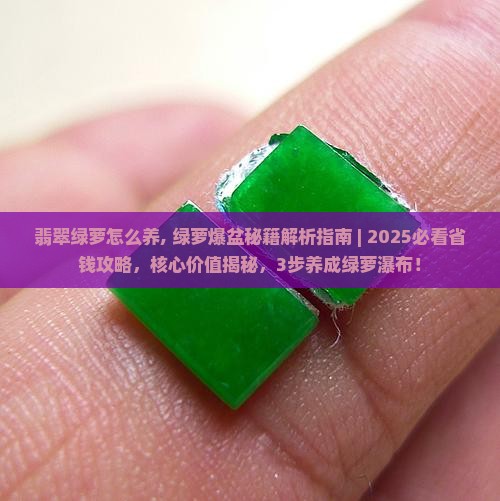 翡翠绿萝怎么养