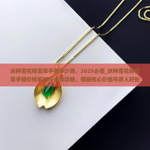 冰种雪花棉翡翠手镯多少钱