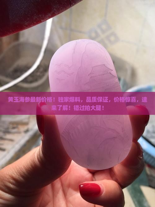 黄玉海参最新价格