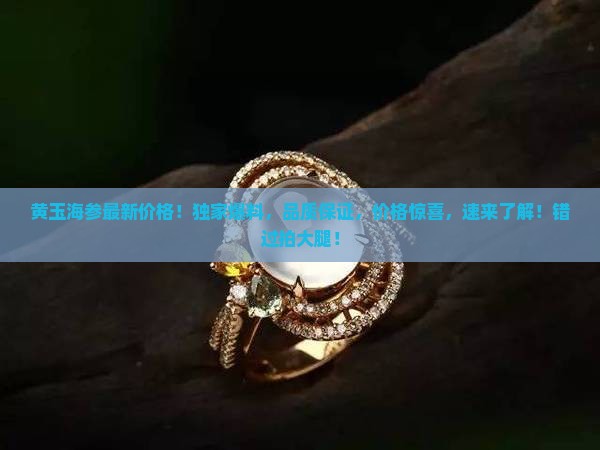 黄玉海参最新价格
