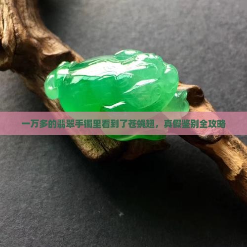 一万多的翡翠手镯里看到了苍蝇翅