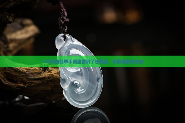 一万多的翡翠手镯里看到了苍蝇翅
