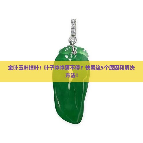 金叶玉叶掉叶