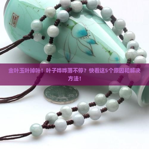 金叶玉叶掉叶