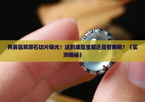 黄雾翡翠原石切片照片