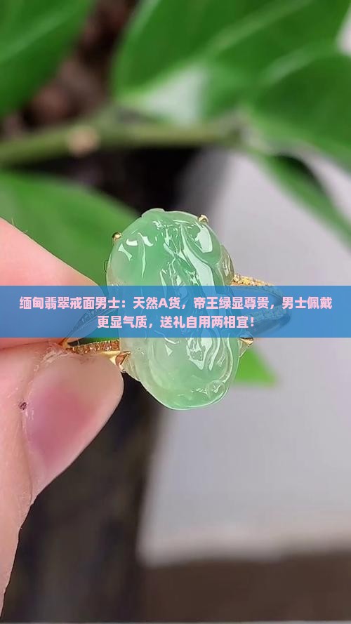 缅甸翡翠戒面男士