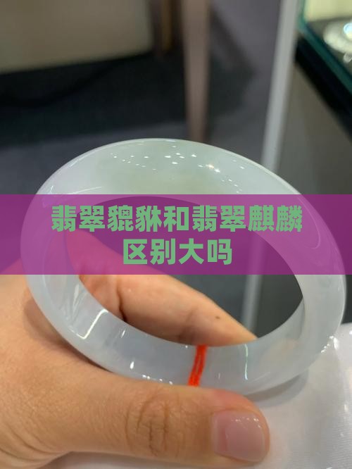 翡翠貔貅和翡翠麒麟区别大吗