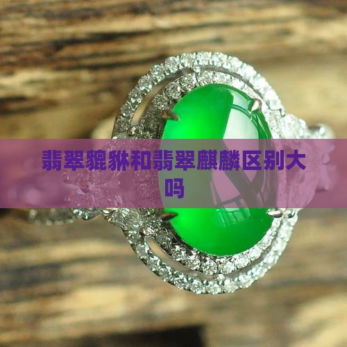 翡翠貔貅和翡翠麒麟区别大吗