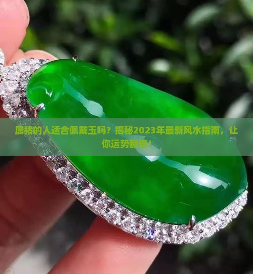 属猪的人适合佩戴玉吗