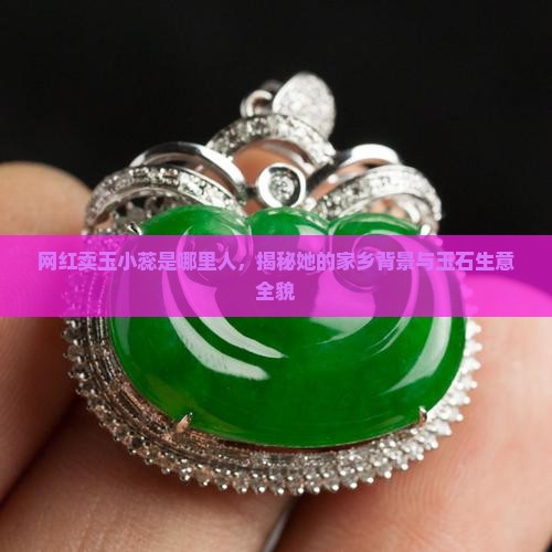 网红卖玉小蕊是哪里人