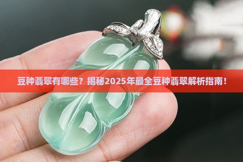豆种翡翠有哪些