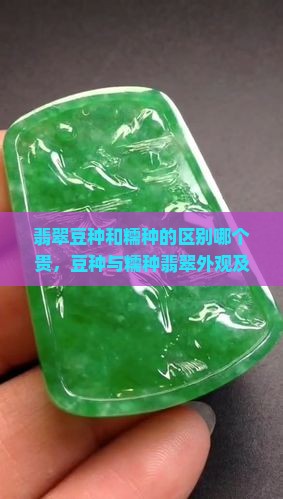 翡翠豆种和糯种的区别哪个贵
