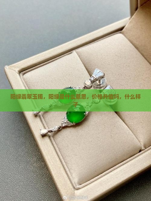 阳绿翡翠玉镯