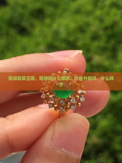 阳绿翡翠玉镯