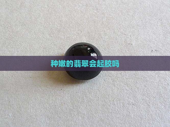种嫩的翡翠会起胶嘛