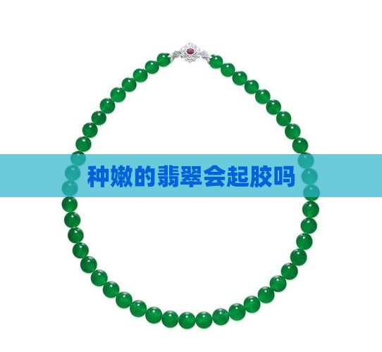 种嫩的翡翠会起胶嘛
