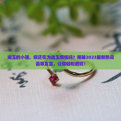 淘玉的小强