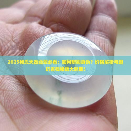 杨氏天然翡翠