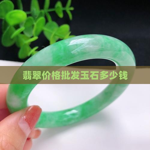 珍宝翡翠多少钱