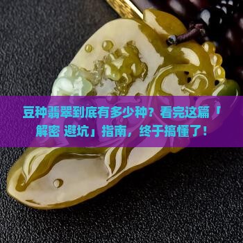 豆种翡翠分多少种种类