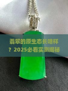 原始的翡翠长啥样