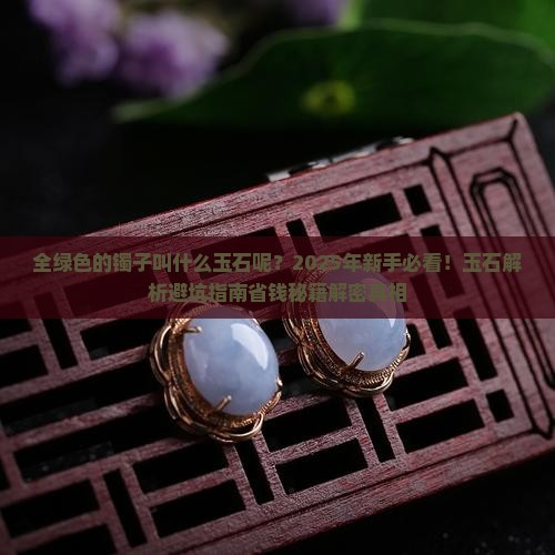 全绿色的镯子叫什么玉石呢