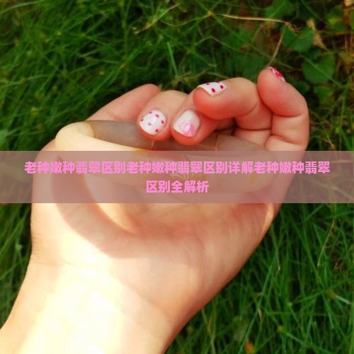 老种嫩种翡翠区别