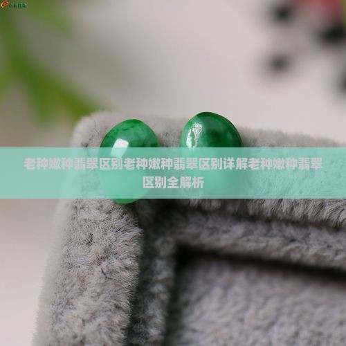 老种嫩种翡翠区别