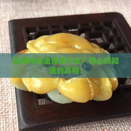 翡翠种类油青是什么