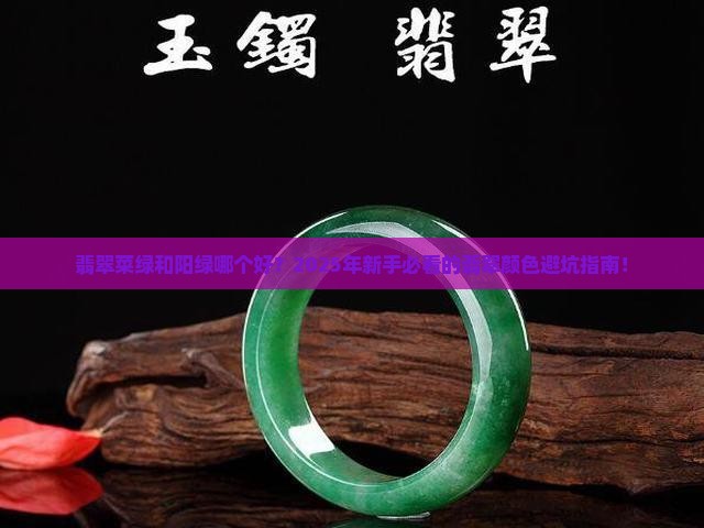 翡翠菜绿和阳绿哪个好