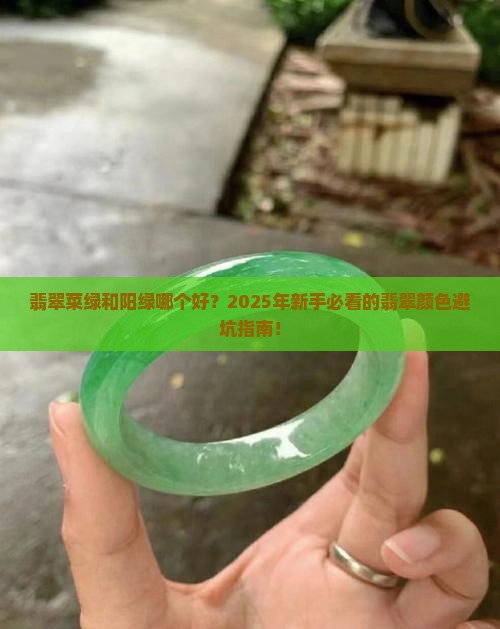 翡翠菜绿和阳绿哪个好