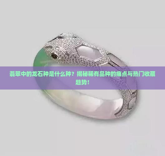 翡翠中的龙石种是什么种