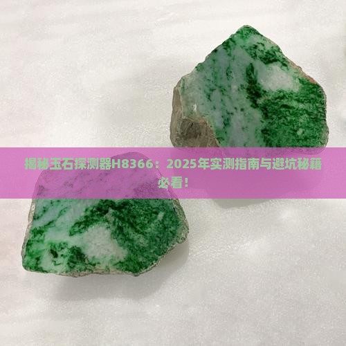 玉石探测器h8366
