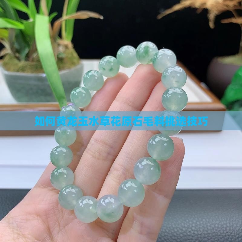 如何挑选黄龙玉水草花原石毛料