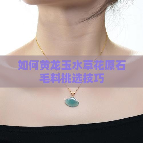 如何挑选黄龙玉水草花原石毛料
