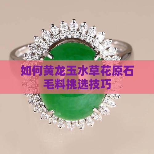 如何挑选黄龙玉水草花原石毛料