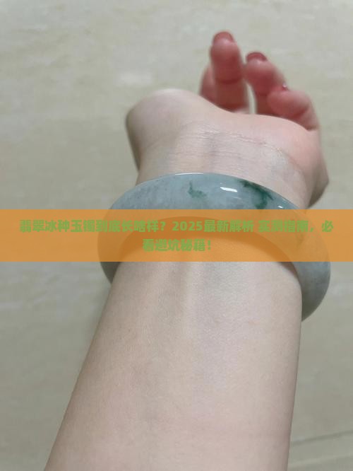 翡翠冰种玉镯是什么样的