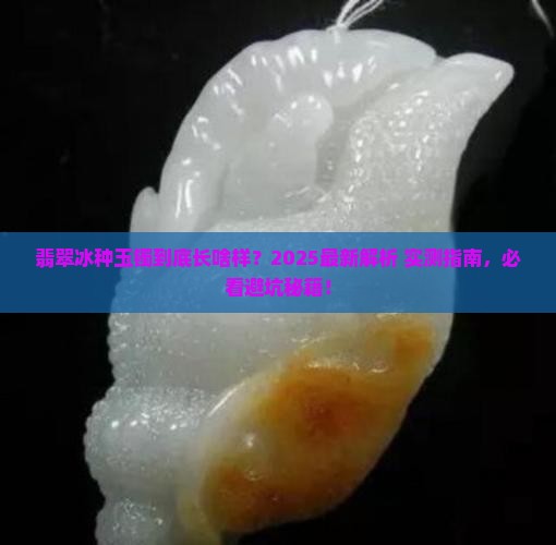 翡翠冰种玉镯是什么样的
